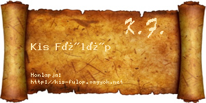 Kis Fülöp névjegykártya